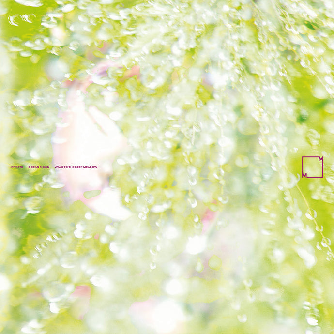 WAYS TO THE DEEP MEADOW