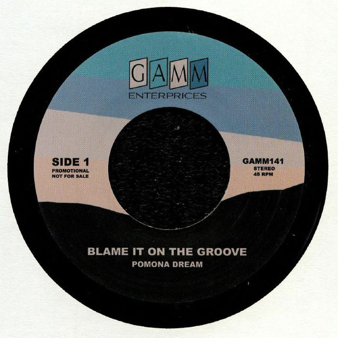 Blame It On The Groove (7