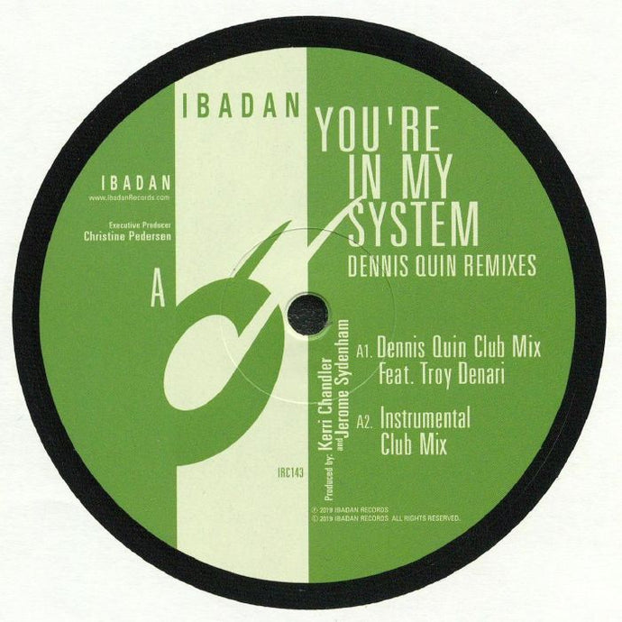 You're In My System: Dennis Quin Remixes