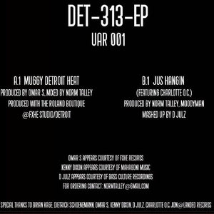 Det 313 EP